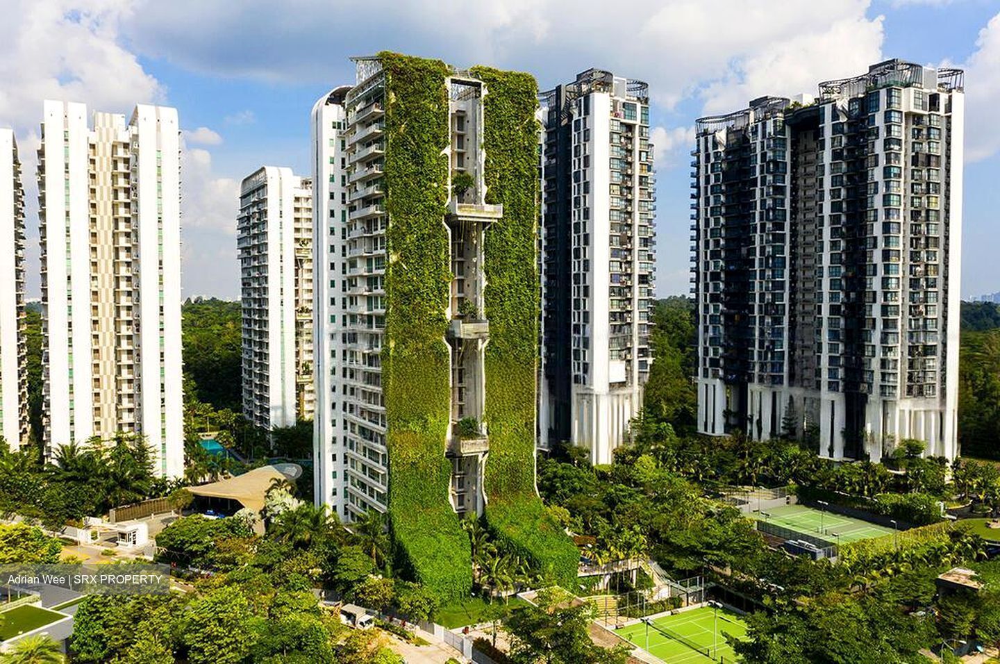 Tree House (D23), Condominium #463108501